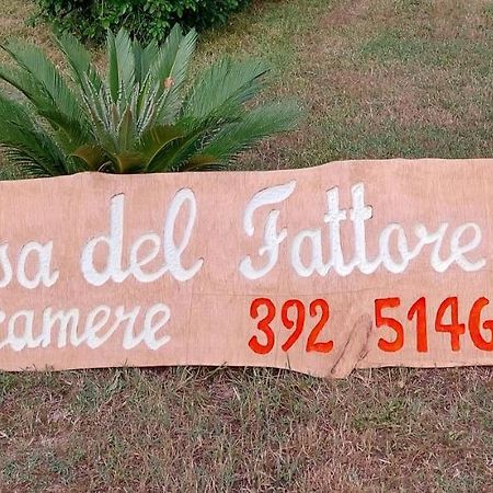 Casa Del Fattore Osimo Kültér fotó